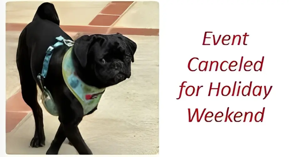 Black pug with event cancellation notice.