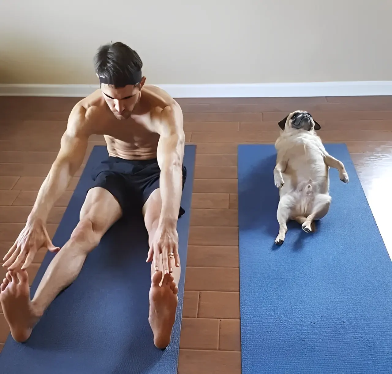 Man and dog stretching on yoga mats.