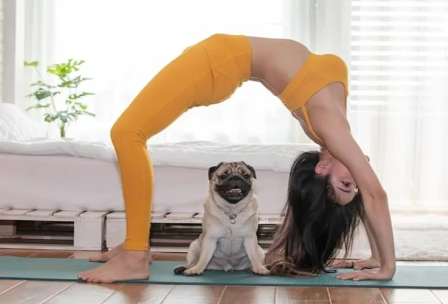Woman doing yoga with a pug nearby.