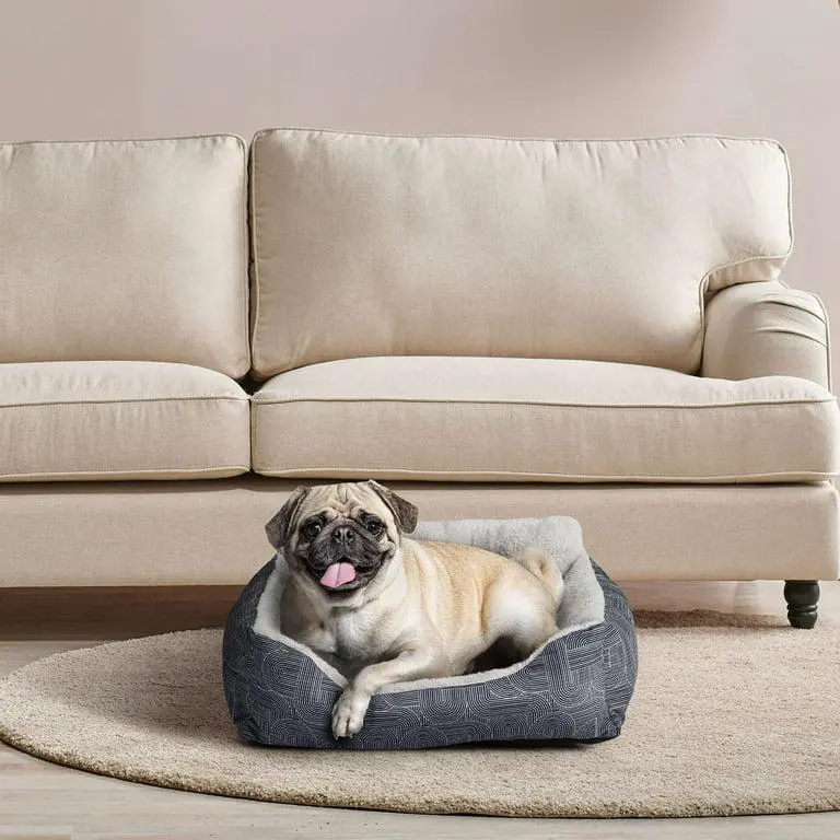 Happy pug in dog bed
