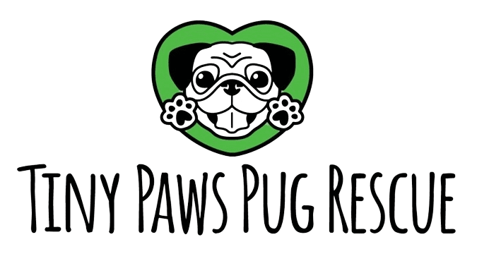 Tiny Paws Pug Rescue logo